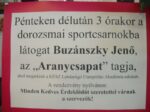 Buzánszky Jenő Kész labdarugó akadémia (2012) (1/68)